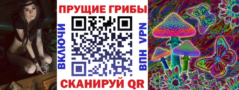 Галлюциногенные грибы Psilocybine cubensis  Купить где  Кубинка 