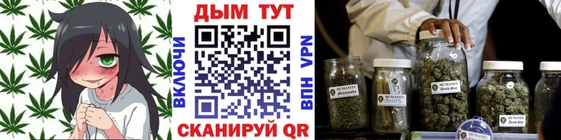 Купить  Кубинка  Каннабис планчик 
